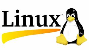 NDG LINUX Unhatched